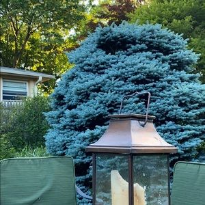 Meet your Posher, Brie